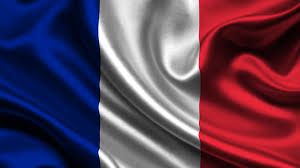payantitr: france flag