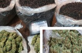 «ماری‌جوانا» در بسته‌های چای کشف شد