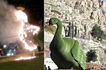 خرافات، طاووس ها در شیراز را به آتش کشید
