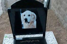 دستگیری ۳ نفر از عوامل دفن یک سگ در قبرستان سنگر رشت + عکس سنگ قبر